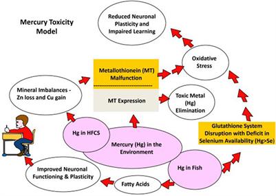 An updated review of the salient geomedical aspects of mercury for enhancement of data quality in simulation modelling and other prognostic applications: Africa case descriptions